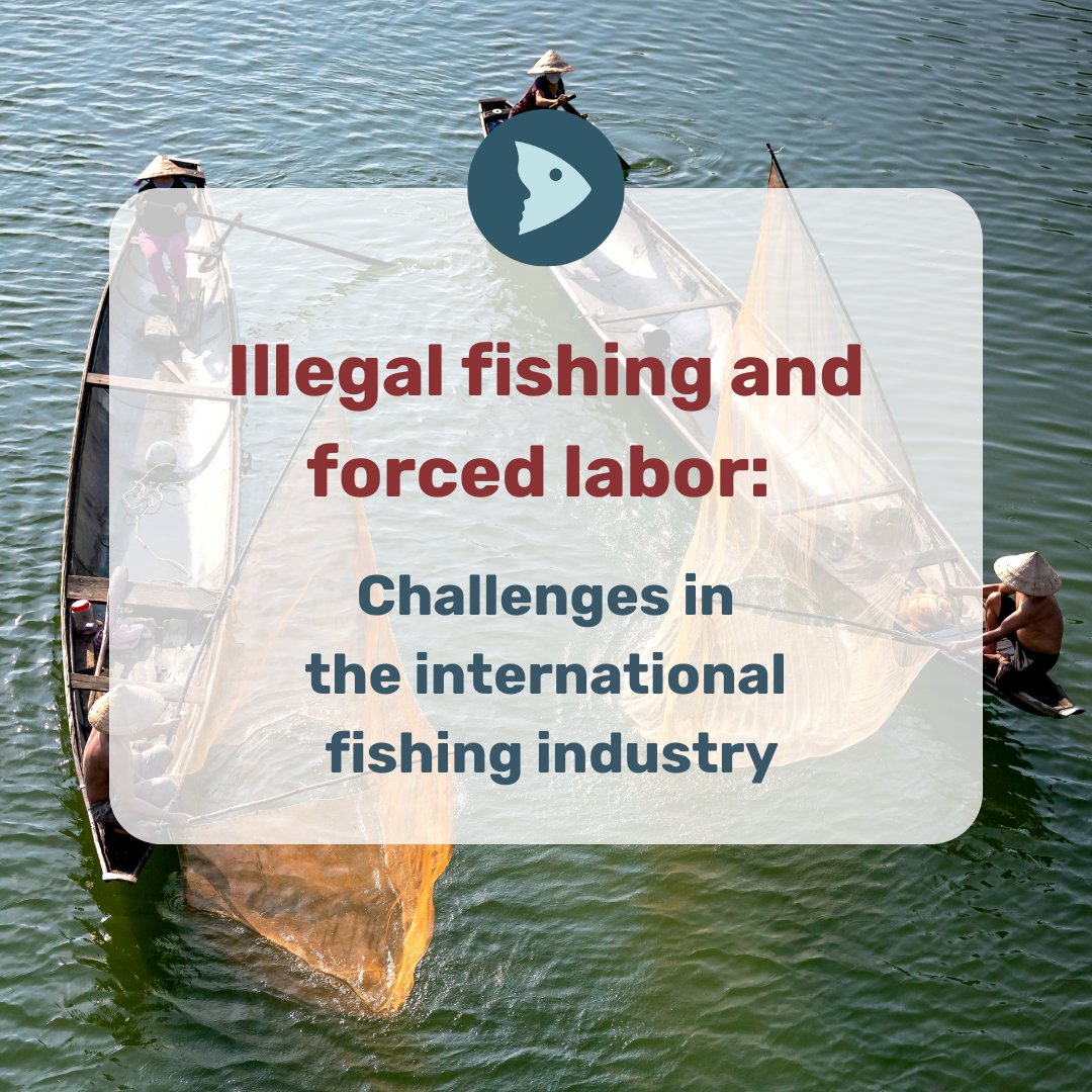 🌍🐟 Our oceans suffer from overfishing &amp; the people on the ships suffer from poor working conditions!

👉 Read more: infosperber.ch/umwelt/uebrige…

📷: Quang Nguyen Vinh - pexels.com