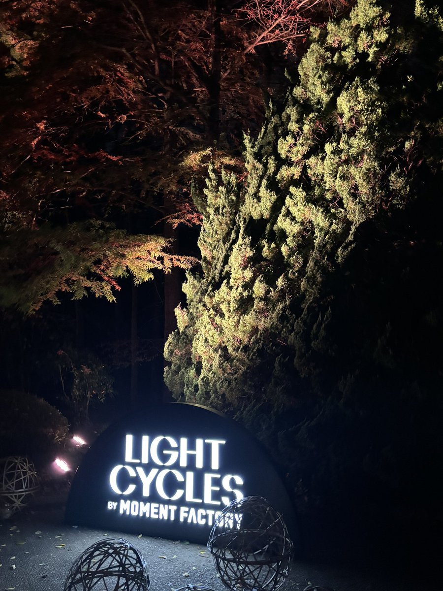 mami19600303's tweet photo. 植物園の100周年のイベント、温室でライトアップされてました。光と音の幻想的な雰囲気で、思わず見惚れてました。サボテンへのライトアップもとっても素敵でした。#京都府立植物園 https://t.co/qtBUDYdEiX