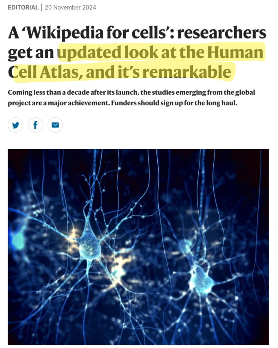 Pascal N. Timshel tweet media