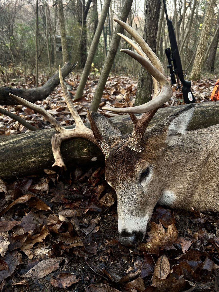 buckcountry740 tweet picture