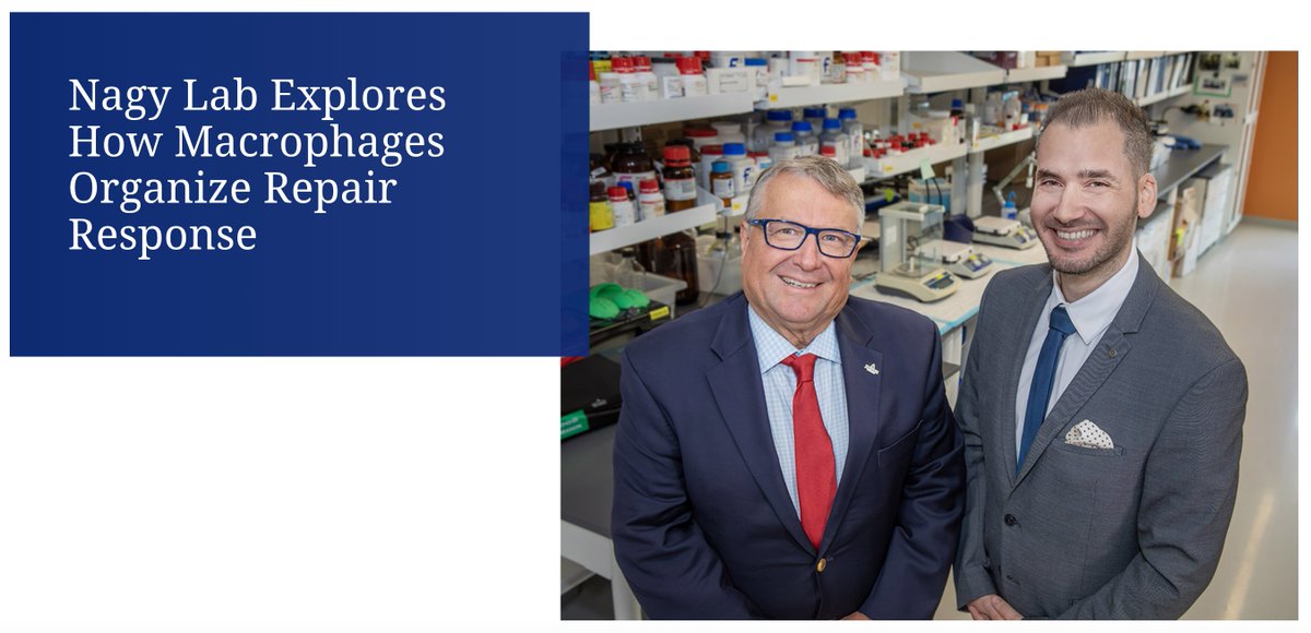 Division of Endocrinology (@endohopkins) on Twitter photo Read about the fascinating work from the lab of our faculty Dr. Laszlo Nagy: hopkinsmedicine.org/news/articles/…, recently published in <a href="/jclinicalinvest/">Journal of Clinical Investigation</a> jci.org/articles/view/… Read about the fascinating work from the lab of our faculty Dr. Laszlo Nagy: hopkinsmedicine.org/news/articles/…, recently published in <a href="/jclinicalinvest/">Journal of Clinical Investigation</a> jci.org/articles/view/…