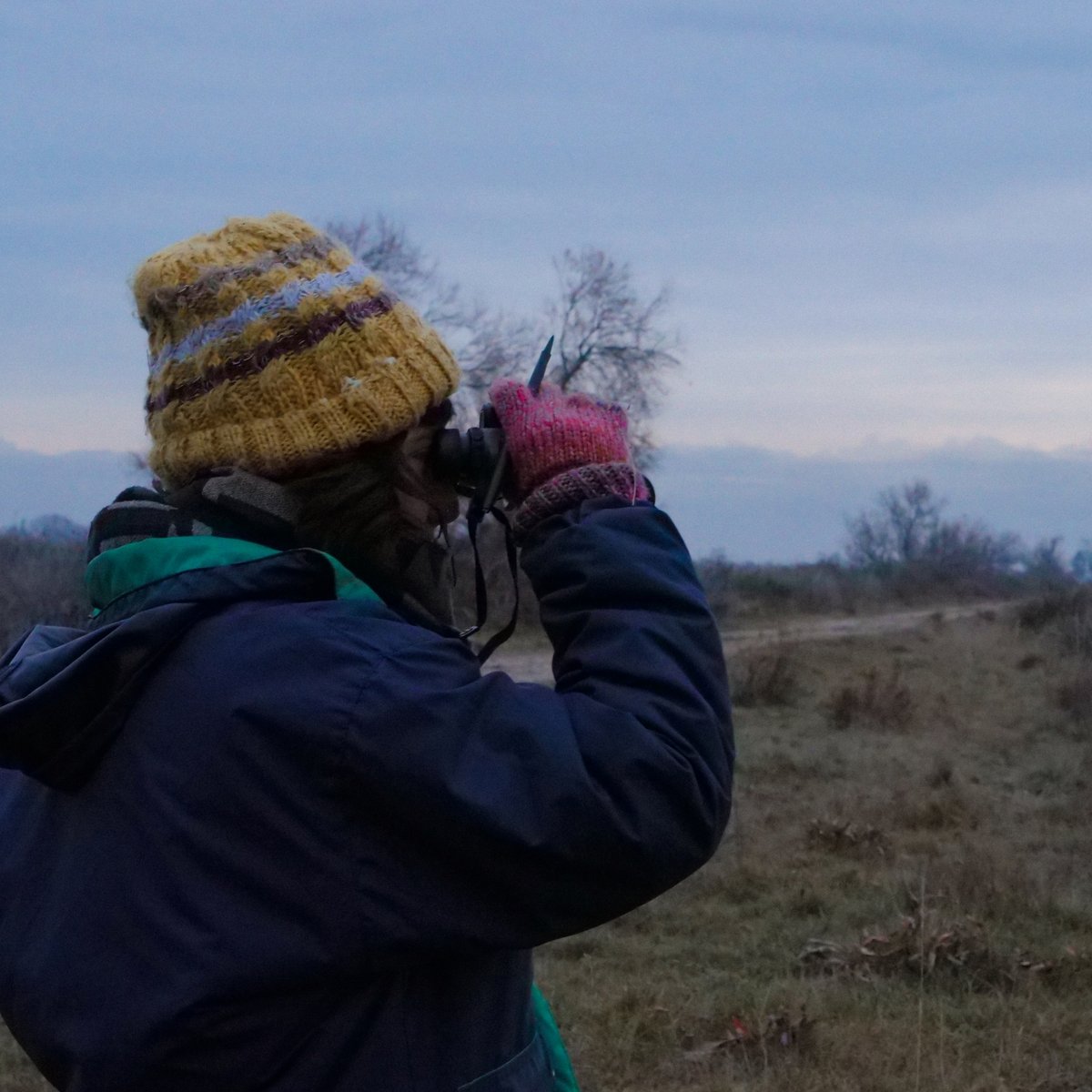 📬 [NEWSLETTERS] Zones humides, lagunes, projets, évènements... Abonnez-vous et recevez nos actualités directement dans votre boîte mail !

🌿 Tour du Valat : vist.ly/3mm22z9
💧 Pôle Relai-Lagunes : vist.ly/3mm22z6
🦇 Projet Rest-Chir'Eau : vist.ly/3mm22z3