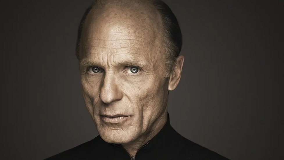 All The Right Movies tweet media