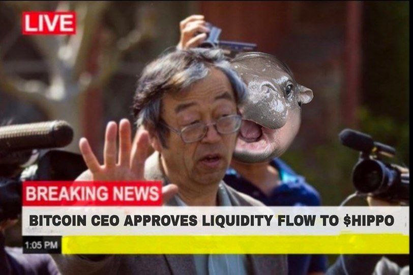 One follows another!

💰 👉 🦛