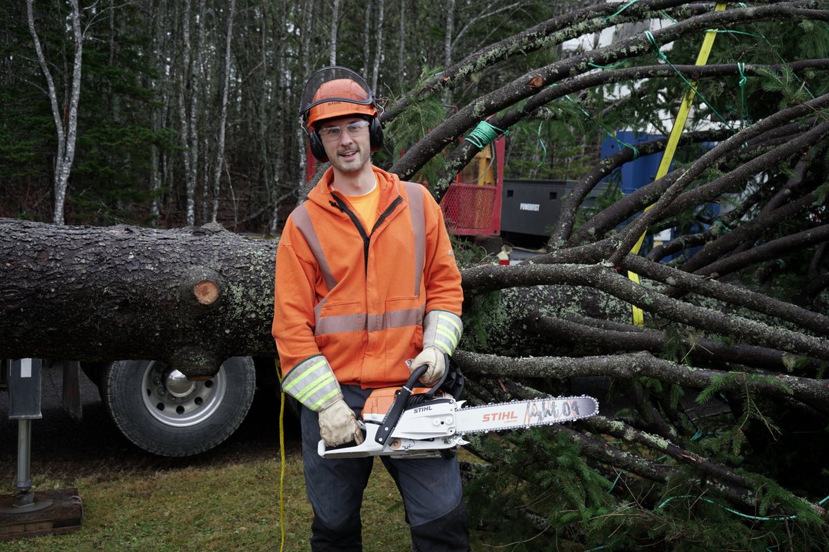Every year, a special gift bridges the miles between Nova Scotia and Boston—a tree that serves as a heartfelt thank-you for the help the City of Boston provided after the Halifax Explosion in 1917. Our crews were thrilled to work alongside the @NS_DNRR in safely preparing this