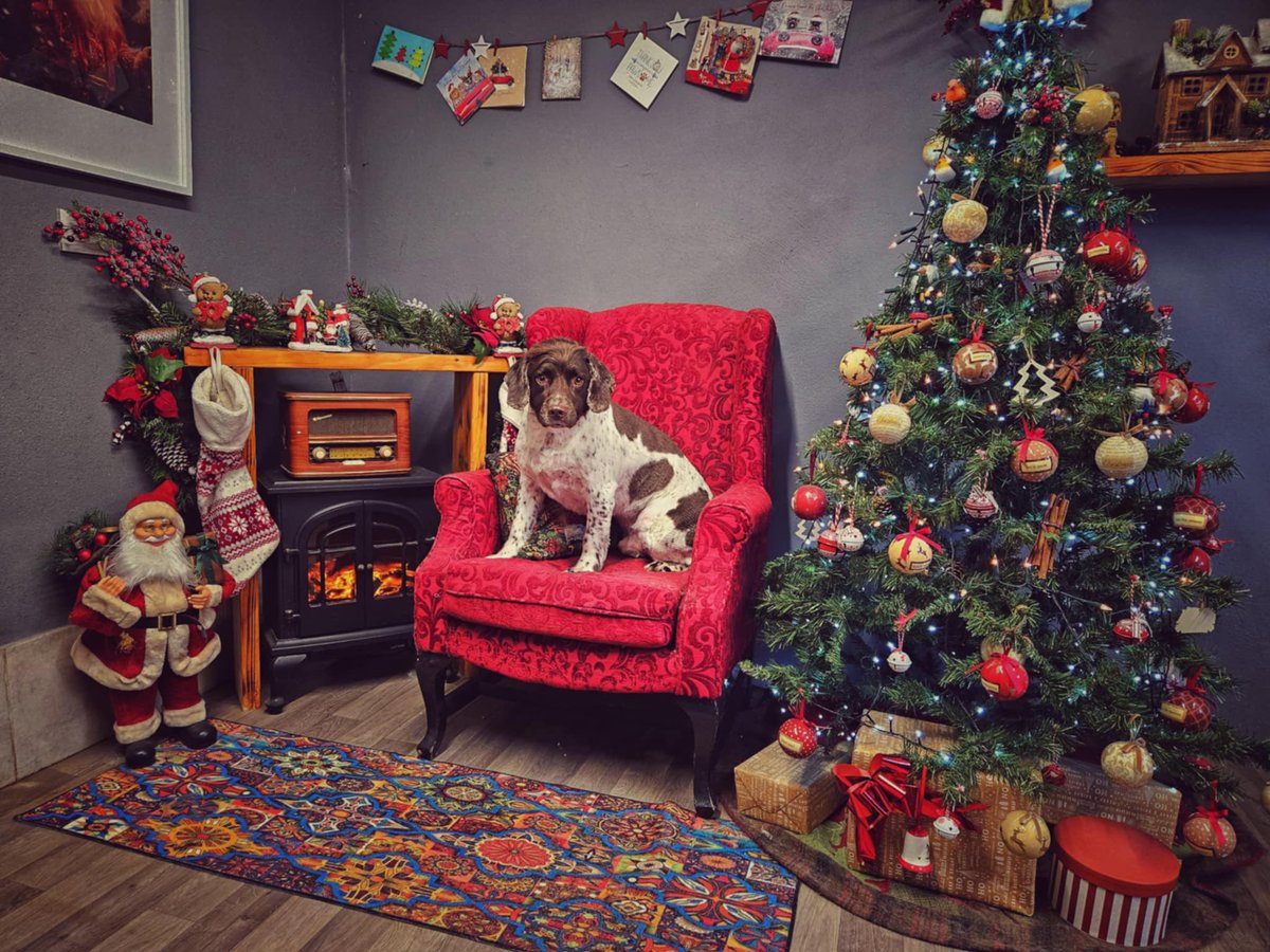 Cathal Judge tweet media