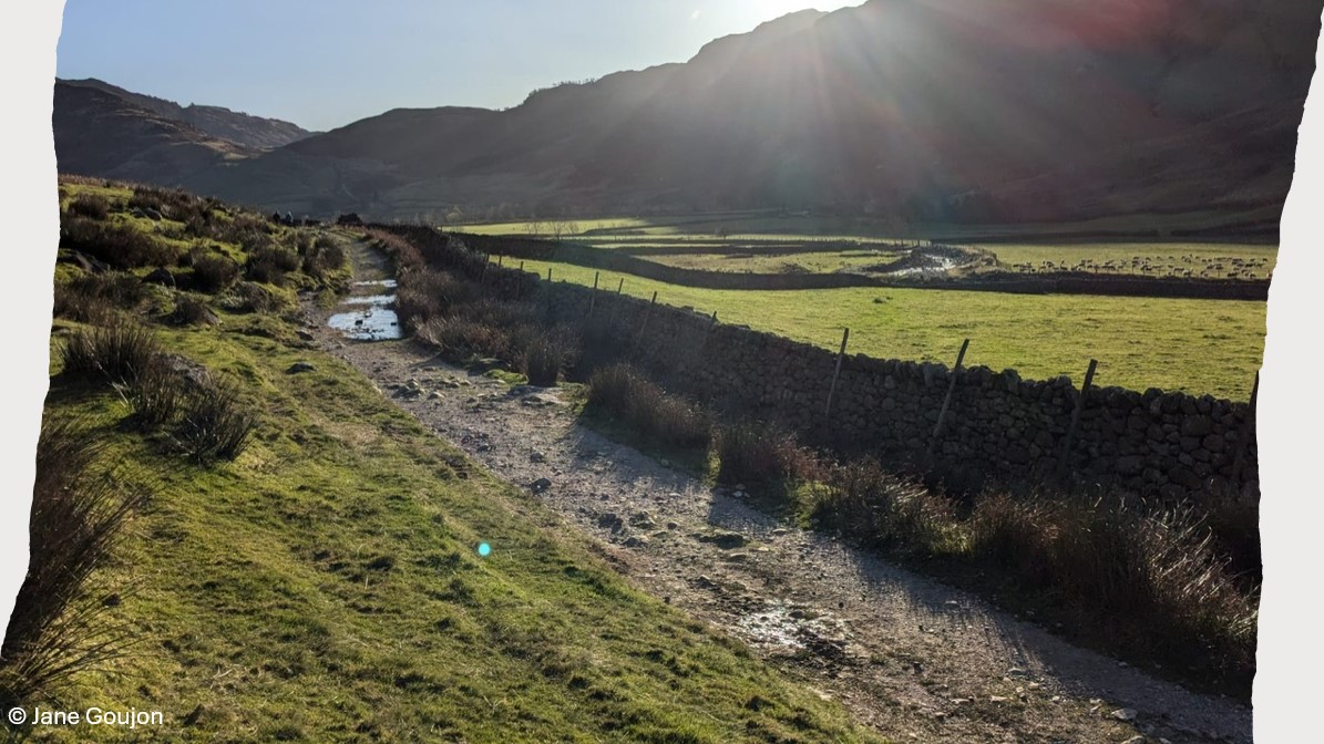 Join our first Winter Webinar on Tuesday 17th December, 6:30-7:30pm to find out more about recording the wildlife you see at home, work or when out &amp; about. 
Find out more and book your free place via our website: cbdc.org.uk/get-involved/w…