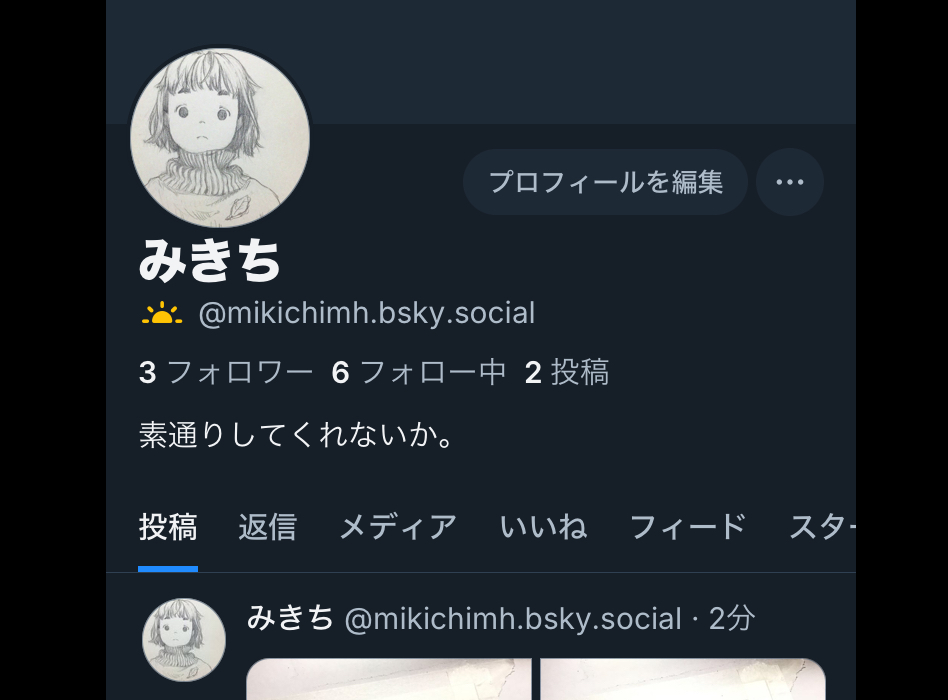みき (@mikichi_mh) / Posts / X