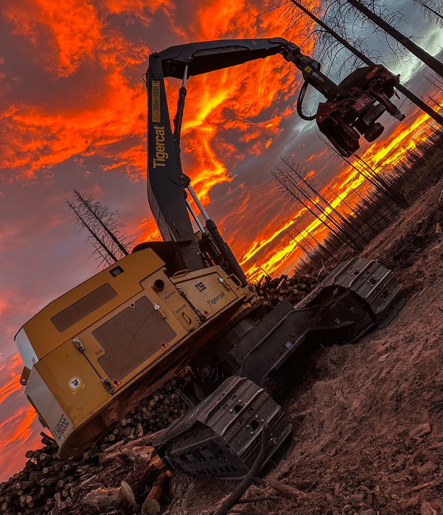 TimberNewsUSA's tweet image. The beauty of a sunrise is found not only in its brilliant colors but also in the reminder that, even after the darkest moments, life presents us with a new chance to rise and set things right. 🇺🇸🌲🌞 

#americanloggers #logginglife #riseup

📸 Sabrina Cantu