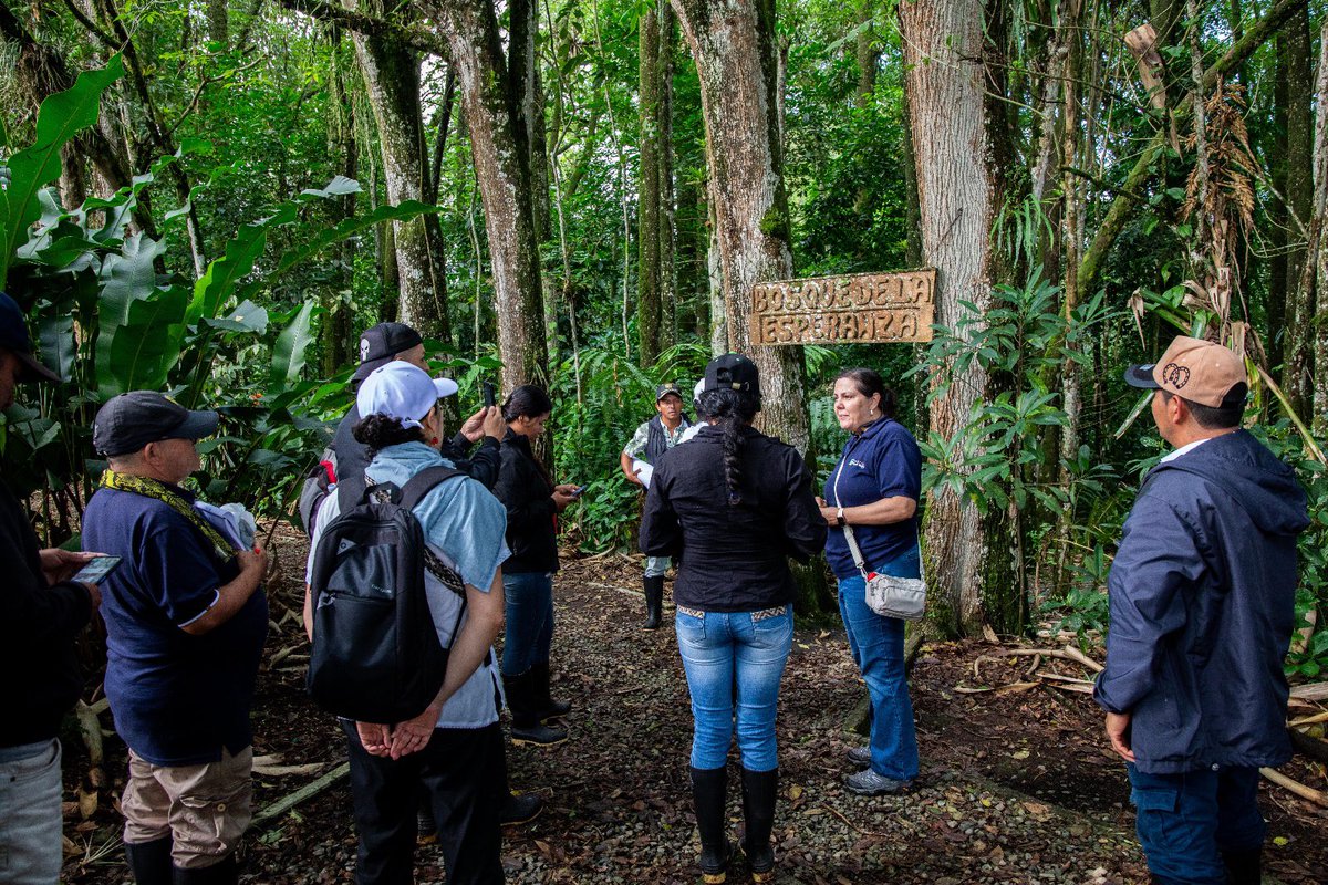 ADR_Colombia's tweet photo. El IPPTA les permite a las familias campesinas 👩‍🌾👨‍🌾 desarrollar planes de acción integrales que abordan indicadores ambientales 🌳, productivos ��� y socioeconómicos. En estos se reconocen y valoran las contribuciones diferenciadas de mujeres y hombres en las dinámicas rurales. @CesarPachonAgro