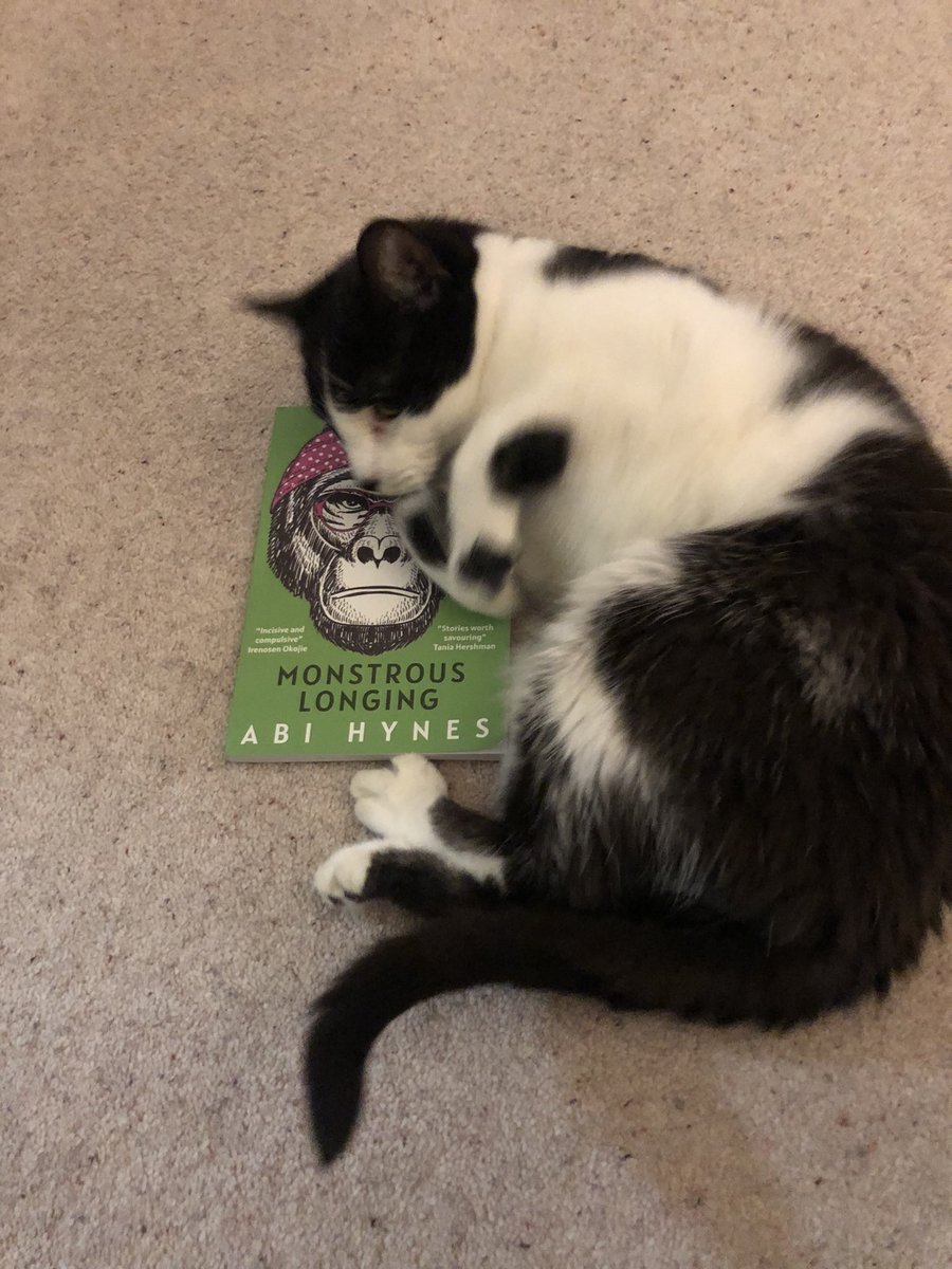 FinonaD's tweet photo. Cromwell is a huge fan of @AbiFAHynes ‘s book and we’re so proud of our friend 🎉💜💚 https://t.co/un2Ovqgfyf