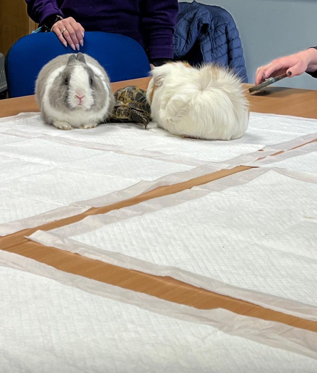 Trafford Community Learning Disability Team CWP tweet media