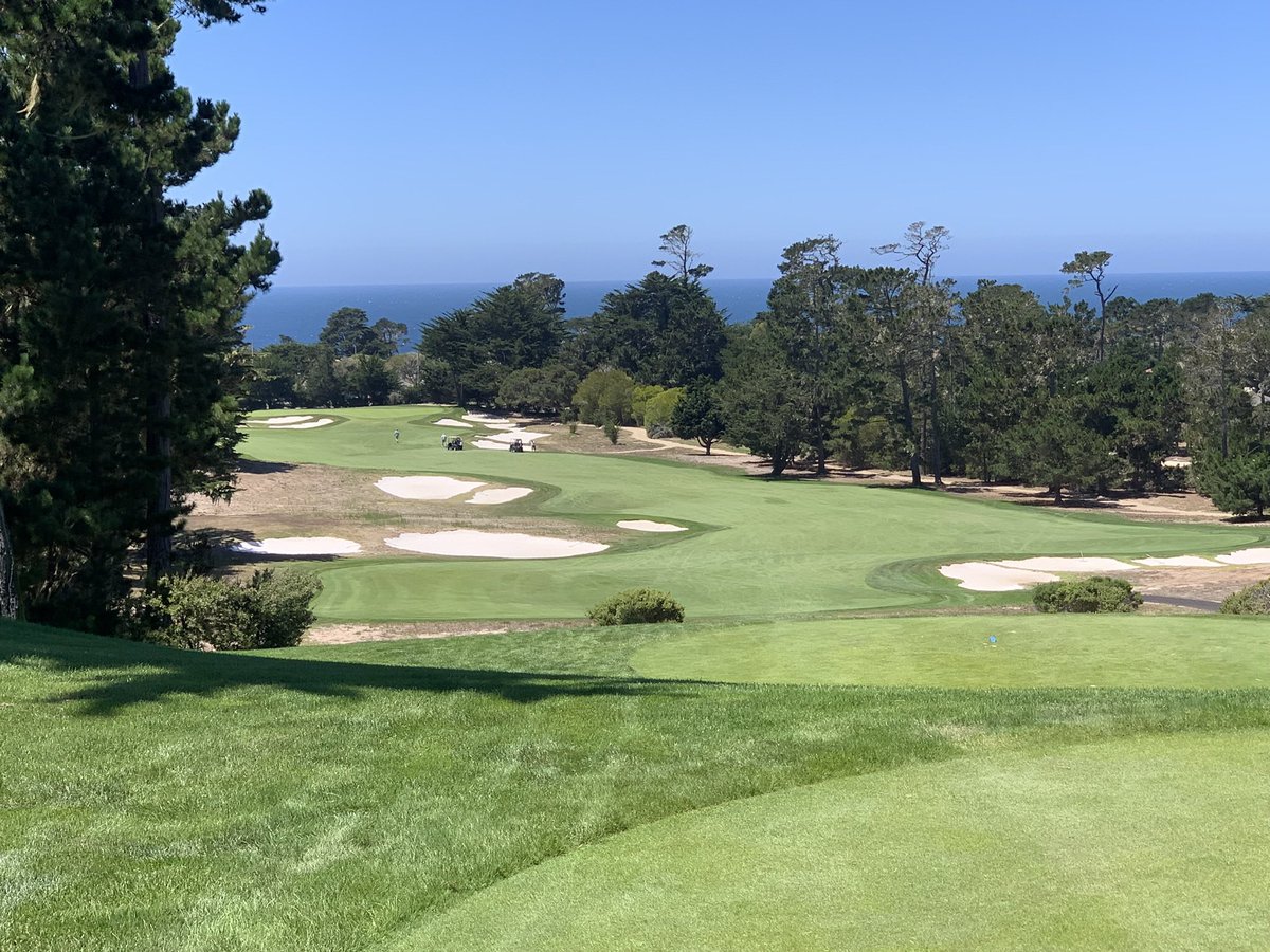 John Lutz tweet media