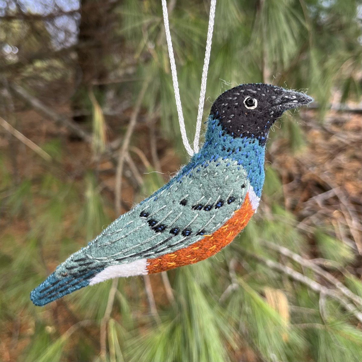 First bird made in Canada, will it have an accent 🤔 who knows what this bird is…