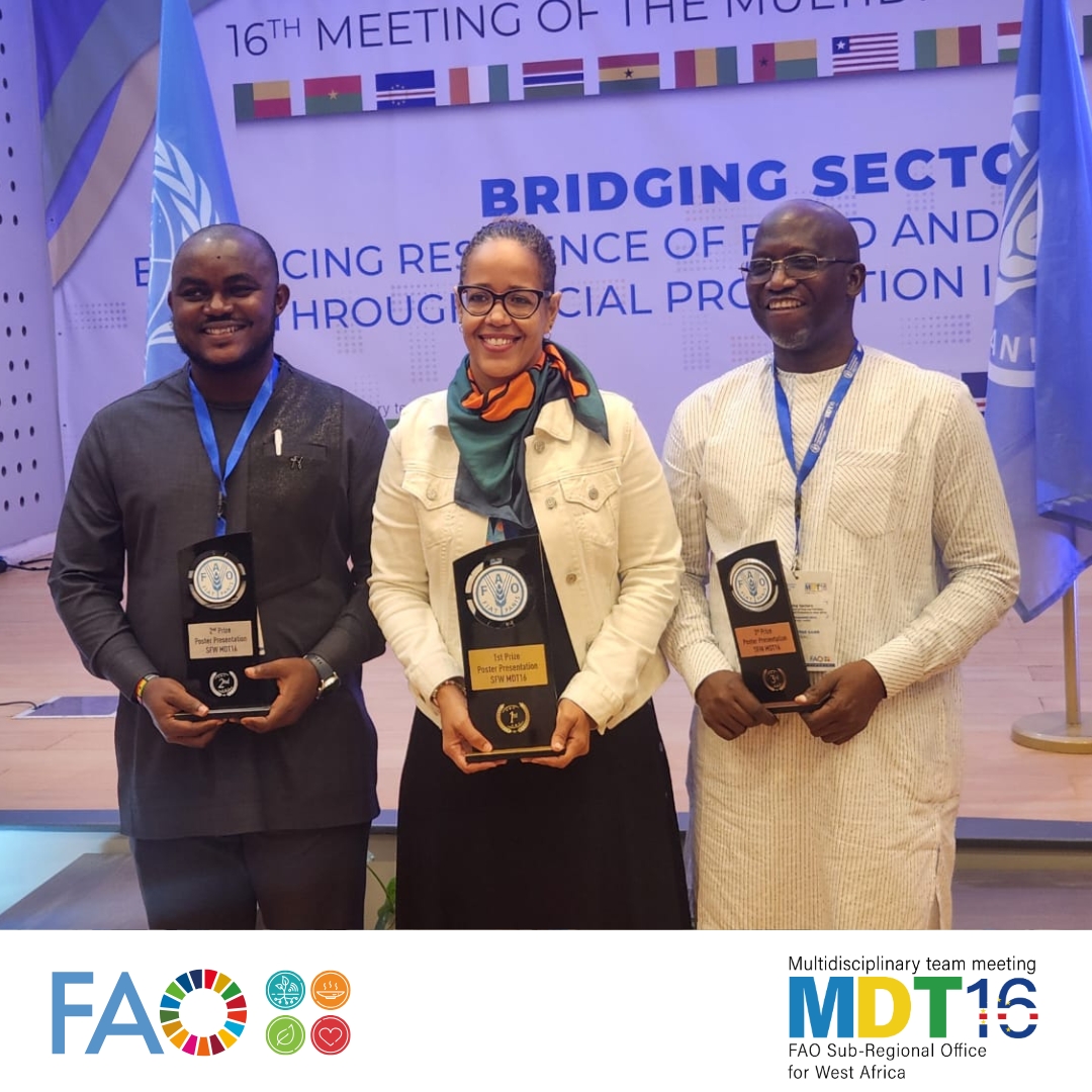 FAOWestAfrica's tweet photo. #FAOSFWMDT16 #Jour4 🎉
🎊Le Cabo Verde🇨🇻 remporte le 1er Prix du concours de poster sur la protection sociale, organisé par le bureau sous régional de la FAO pour l'Afrique de l'ouest et le Sahel.
🎉Le Liberia🇱🇷 remporte la 2eme place et le Sénégal🇸🇳 est classé 3eme. https://t.co/Amih7wpdWA