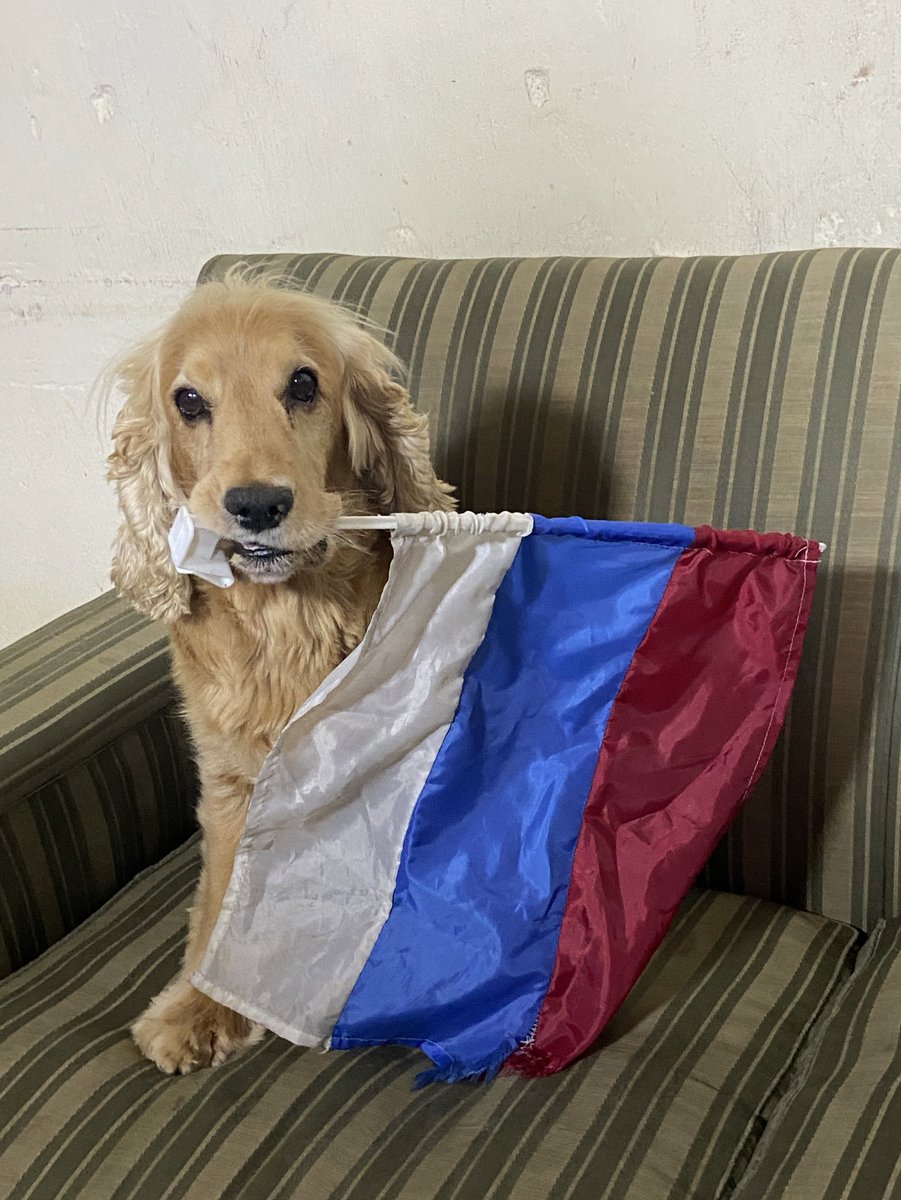 Falta mucho para el domingo?