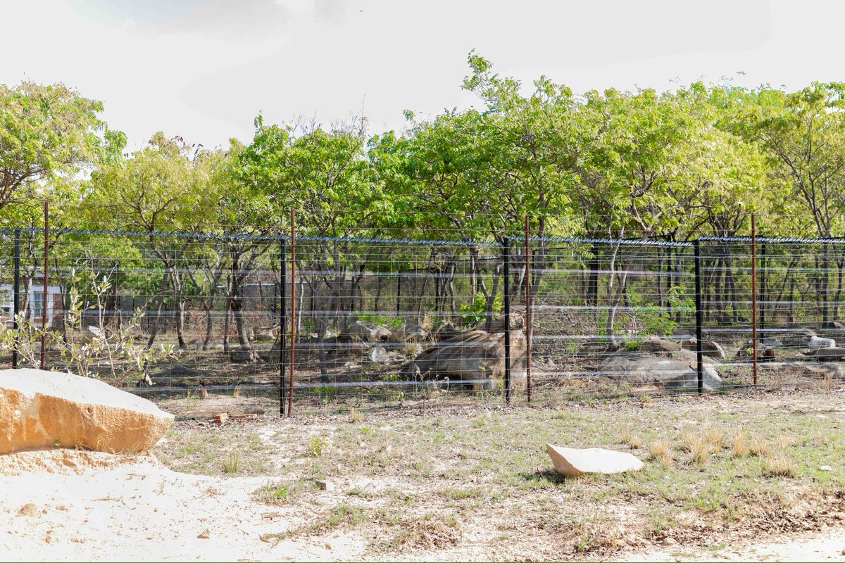 pomonasteel's tweet image. Strengthening Security, Building Futures!
Pomona Steel &amp;amp; Fencing is proud to have completed another successful ClearView Fence installation at a local boarding school.

#PomonaSteel #ClearViewFence #SchoolSecurity #BuiltToLast #communityfirst