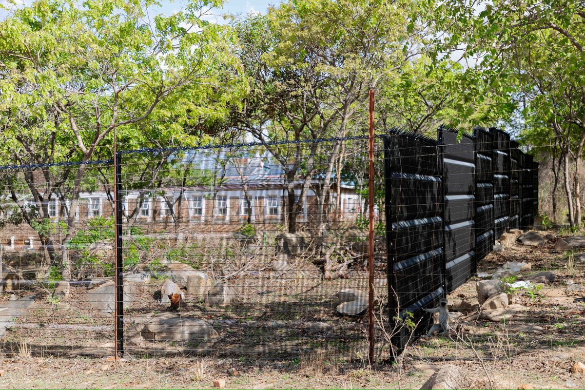 pomonasteel's tweet image. Strengthening Security, Building Futures!
Pomona Steel &amp;amp; Fencing is proud to have completed another successful ClearView Fence installation at a local boarding school.

#PomonaSteel #ClearViewFence #SchoolSecurity #BuiltToLast #communityfirst