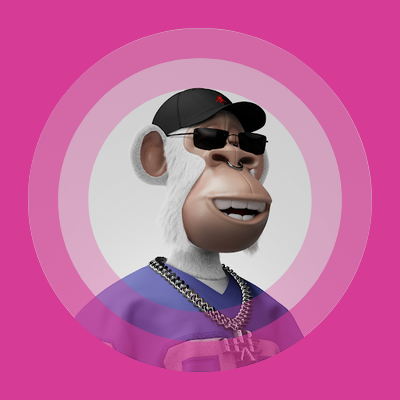 0xScrollnet's tweet photo. gn https://t.co/40JaxNugxu