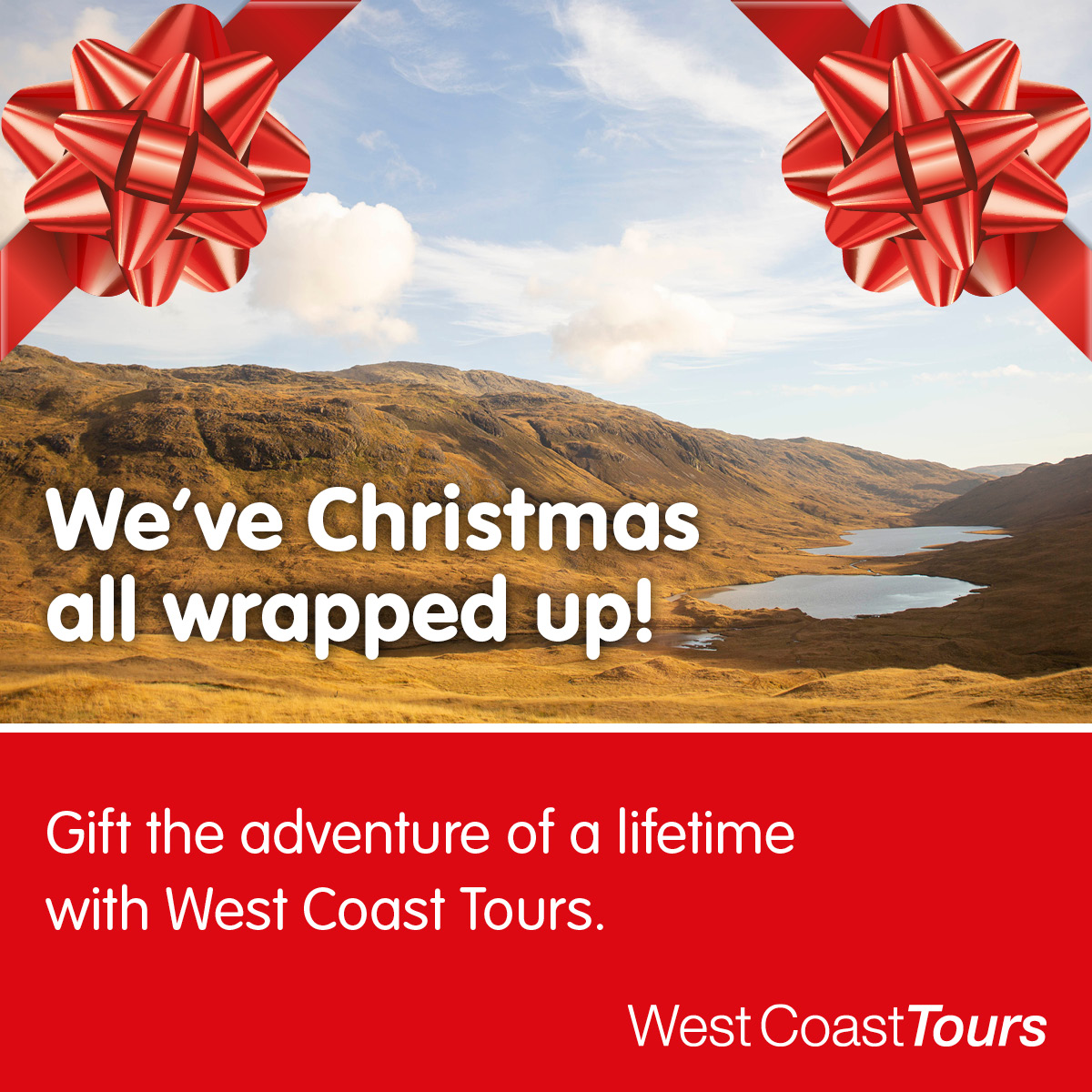 Why don't you save yourself the headache this year and gift them memories to last a lifetime?

If exploring geological wonders, learning ancient history, and spotting nesting puffins sounds fun to you, then it’s a no-brainer. Bookings are now open for our 2025 season.