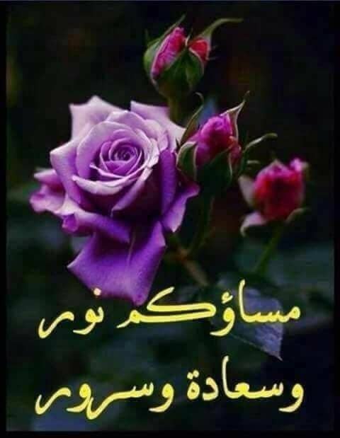 فرحان (@farhan1962f) on Twitter photo الصحبةالصالحه
#دعم_فرحان
#قروبات_البابلي_للاضافات
<a href="/_0M01_/">مزوون:🏡 Engمسافرة✈️</a>
<a href="/__hms0/">☆ همســآت ☆</a>
@K20kb
<a href="/N1_0n0/">Eng:🐝Na7ola:{ نهوله 🐝</a>
<a href="/Ahlam04900191/">Ahlam</a>
@majdy1379
<a href="/99fj3/">المحارب</a>
<a href="/azoz833833/">✒الفردوس مطلبي</a>
<a href="/RedaRahmanGait/">رٍضا الُرٍحٍمن غايَتيَ.👷♀️</a>
<a href="/2_apojwas/">ابو طارق الصبيحي</a>
<a href="/j9n67/">فصبر جميل والله المستعان على ما تصفون</a>
<a href="/NajeebThafree/">نجيب الظافري</a>
<a href="/HishamRagap/">هشام</a>
<a href="/bwbdllh72032635/">ابو عبدالله ابورسلان الحويطي</a>
<a href="/MAlshahdhy/">ابو العز الشاحذي</a>
<a href="/ggh_hashem/">Gada hashim</a>
<a href="/Eimirahahleh/">᭓رســـــ قلـبي ـــــائل᭓</a> الصحبةالصالحه
#دعم_فرحان
#قروبات_البابلي_للاضافات
<a href="/_0M01_/">مزوون:🏡 Engمسافرة✈️</a>
<a href="/__hms0/">☆ همســآت ☆</a>
@K20kb
<a href="/N1_0n0/">Eng:🐝Na7ola:{ نهوله 🐝</a>
<a href="/Ahlam04900191/">Ahlam</a>
@majdy1379
<a href="/99fj3/">المحارب</a>
<a href="/azoz833833/">✒الفردوس مطلبي</a>
<a href="/RedaRahmanGait/">رٍضا الُرٍحٍمن غايَتيَ.👷♀️</a>
<a href="/2_apojwas/">ابو طارق الصبيحي</a>
<a href="/j9n67/">فصبر جميل والله المستعان على ما تصفون</a>
<a href="/NajeebThafree/">نجيب الظافري</a>
<a href="/HishamRagap/">هشام</a>
<a href="/bwbdllh72032635/">ابو عبدالله ابورسلان الحويطي</a>
<a href="/MAlshahdhy/">ابو العز الشاحذي</a>
<a href="/ggh_hashem/">Gada hashim</a>
<a href="/Eimirahahleh/">᭓رســـــ قلـبي ـــــائل᭓</a>