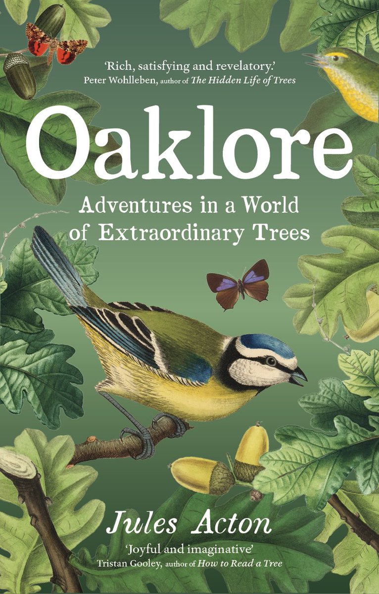 A book a day for a week 

#1 - Oaklore by <a href="/JulesActon/">Jules Acton</a> 

Fun &amp; facts. The book is so good we gave her an oak tree called Oscar 👋🙂🌳