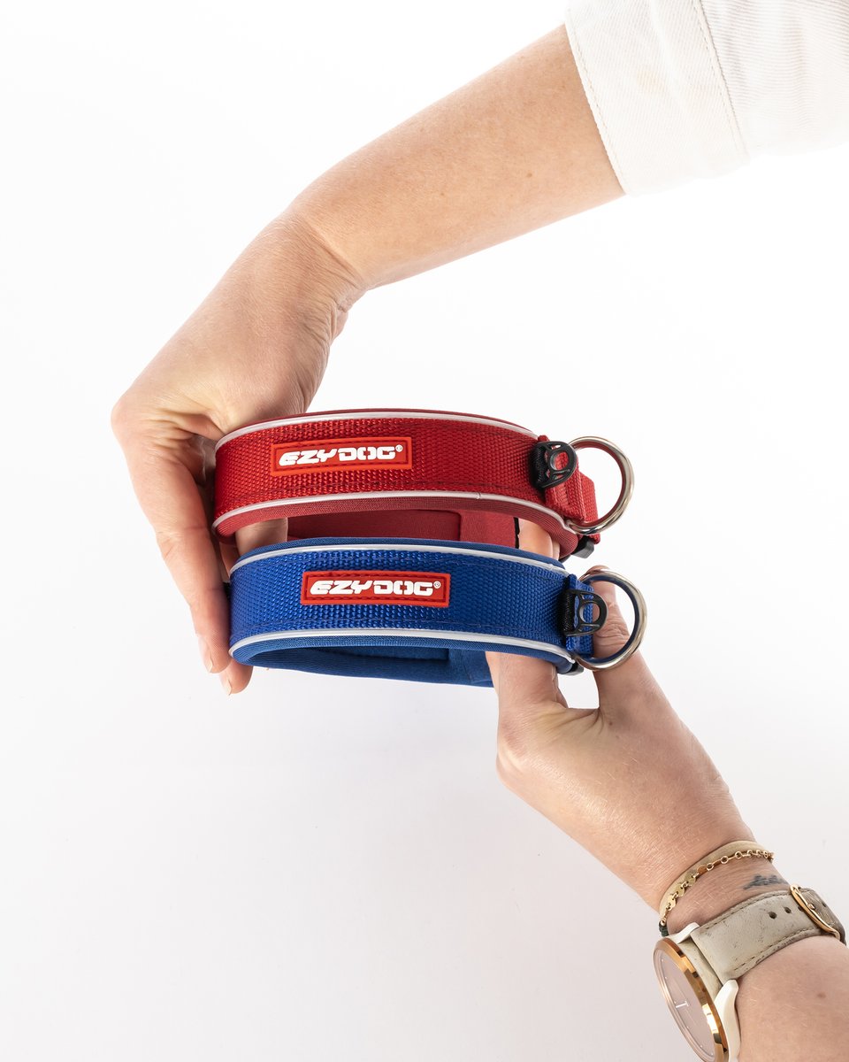 The Classic Neo Collar. 

Available in 11 Classic Colours, including our Friday Collection of Corduroy and Denim.

#ezydog #dogcollar #dog #dogs #collar #dogproducts