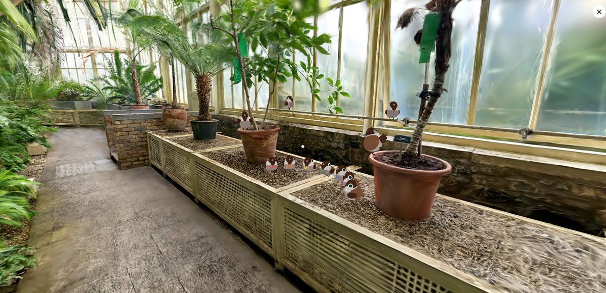 Alehiaseth's tweet image. join and celebrate this beautiful experience we have #OVR over the botanic gardens! so cute this little ones! marketplace.ovr.ai/experiences/40… jump in and play with them your favourite song! in practicing Childish Gambino - Redbone 🤣#OvertheReality #ARMapping #AR #Irelandnature