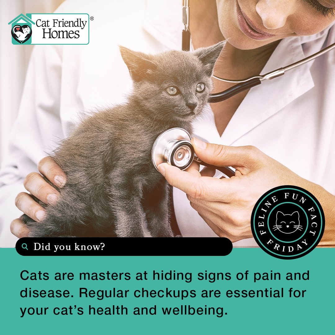 Cats are masters at hiding signs of pain and disease. The signs of pain may be subtle because cats hide signs of discomfort and illness which could make them appear vulnerable to their enemies. Learn more at bit.ly/4c0rKxD. 

#FelineFunFactFriday #CatFriendlyHomes