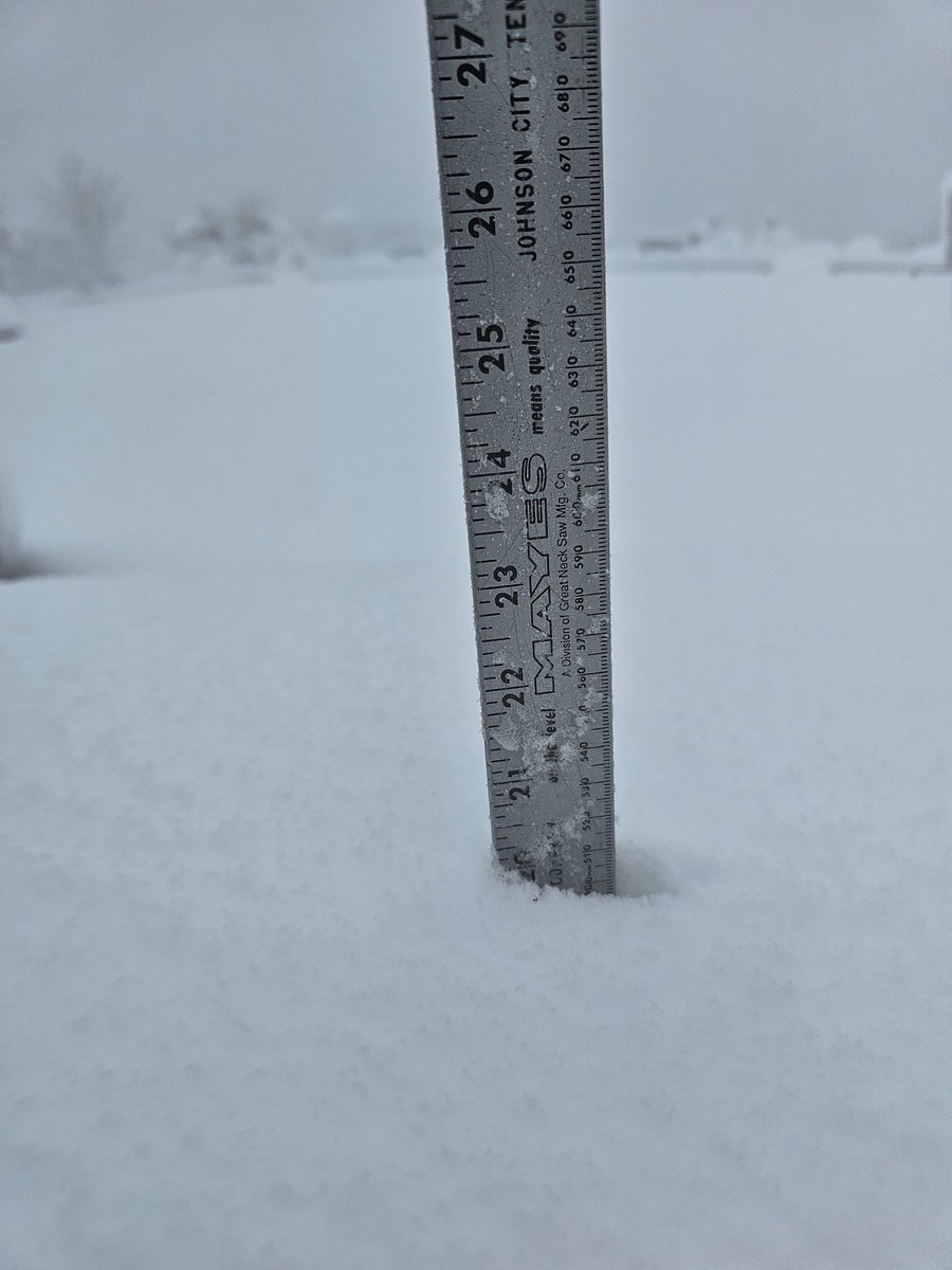 Justin Godynick NBC10 tweet media