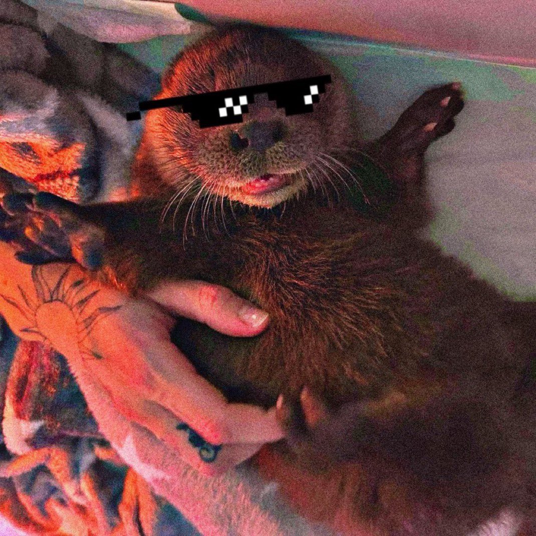 Pernie & Ozzy tweet media