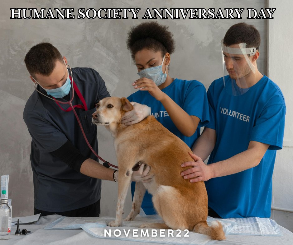 CreditRepair1us's tweet photo. Our family raises service animals!  Cheers To those who are always there for our furry friends,thank you! https://t.co/SyG433krzm #FastCreditRepair #BestCreditRepair #CreditRepairAgent #financialplanning  #financialplannernearme https://t.co/0MNTntyrDu