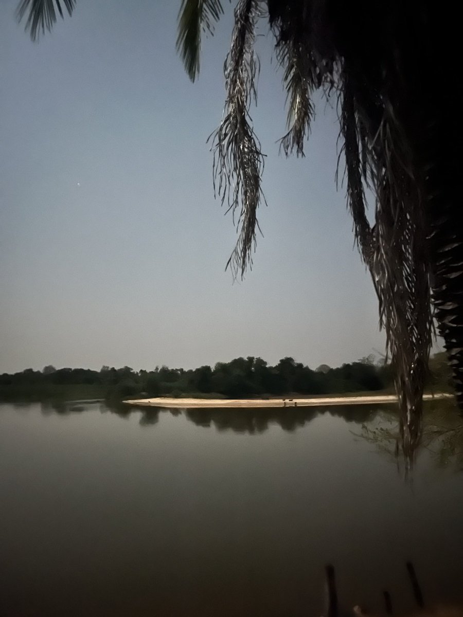 só queria estar no pantanal, chapadinho na beira do rio miranda olhando os bichos em silêncio. seria minha definição de paz.
