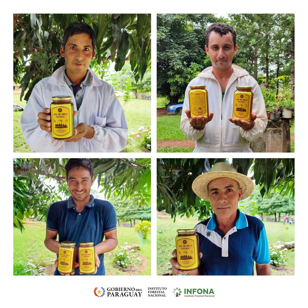 Instituto Forestal Nacional del Paraguay tweet media