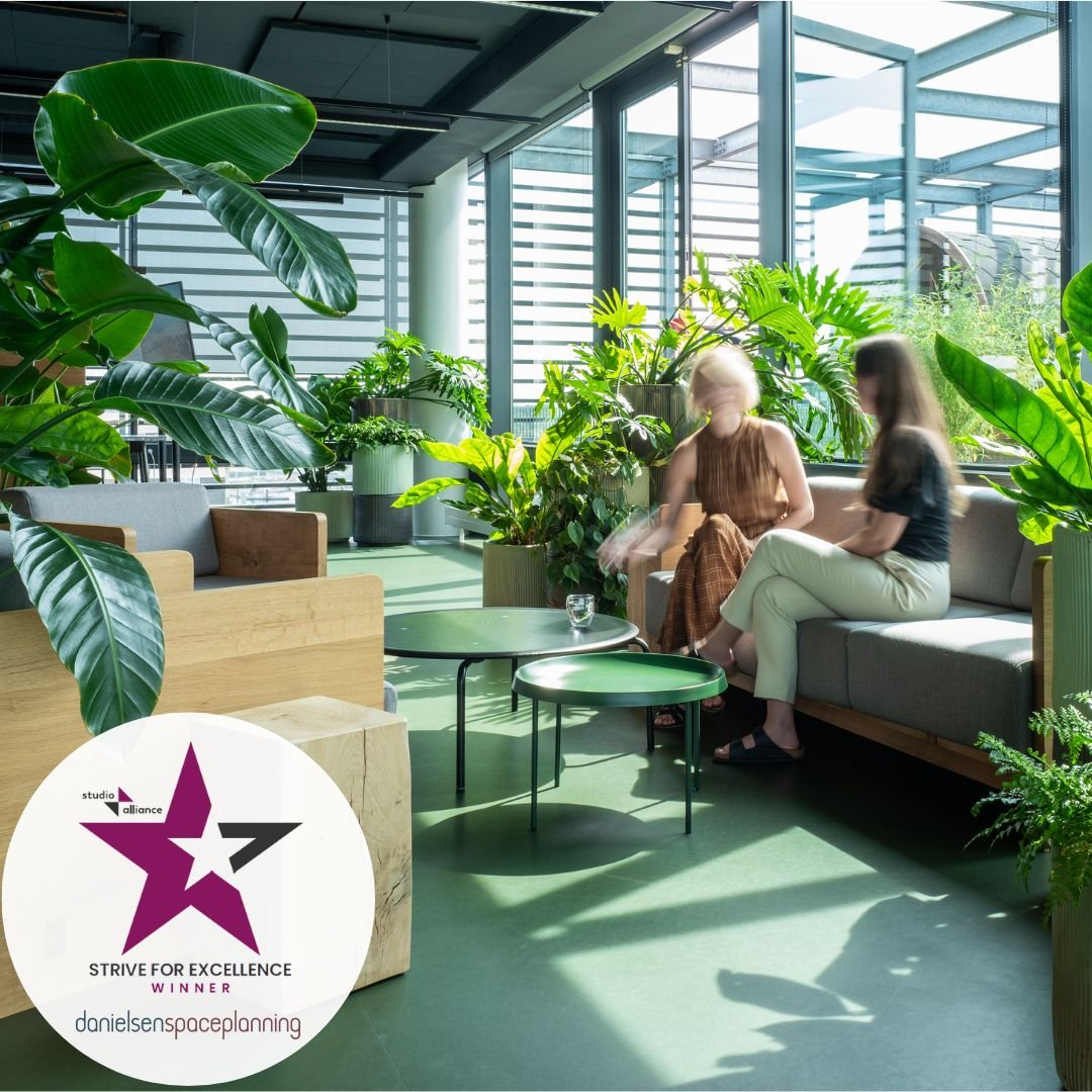 Studio Alliance tweet media