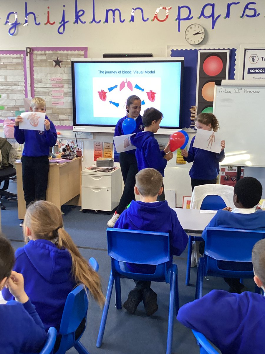Today we have been learning all about the Circulatory system. We have used balloons to understand how oxygenated blood and deoxygenated blood travels around our organs 🫀🫁
<a href="/PathfinderMAT/">Pathfinder MAT</a> <a href="/TangHallPrimary/">Tang Hall Primary School</a>