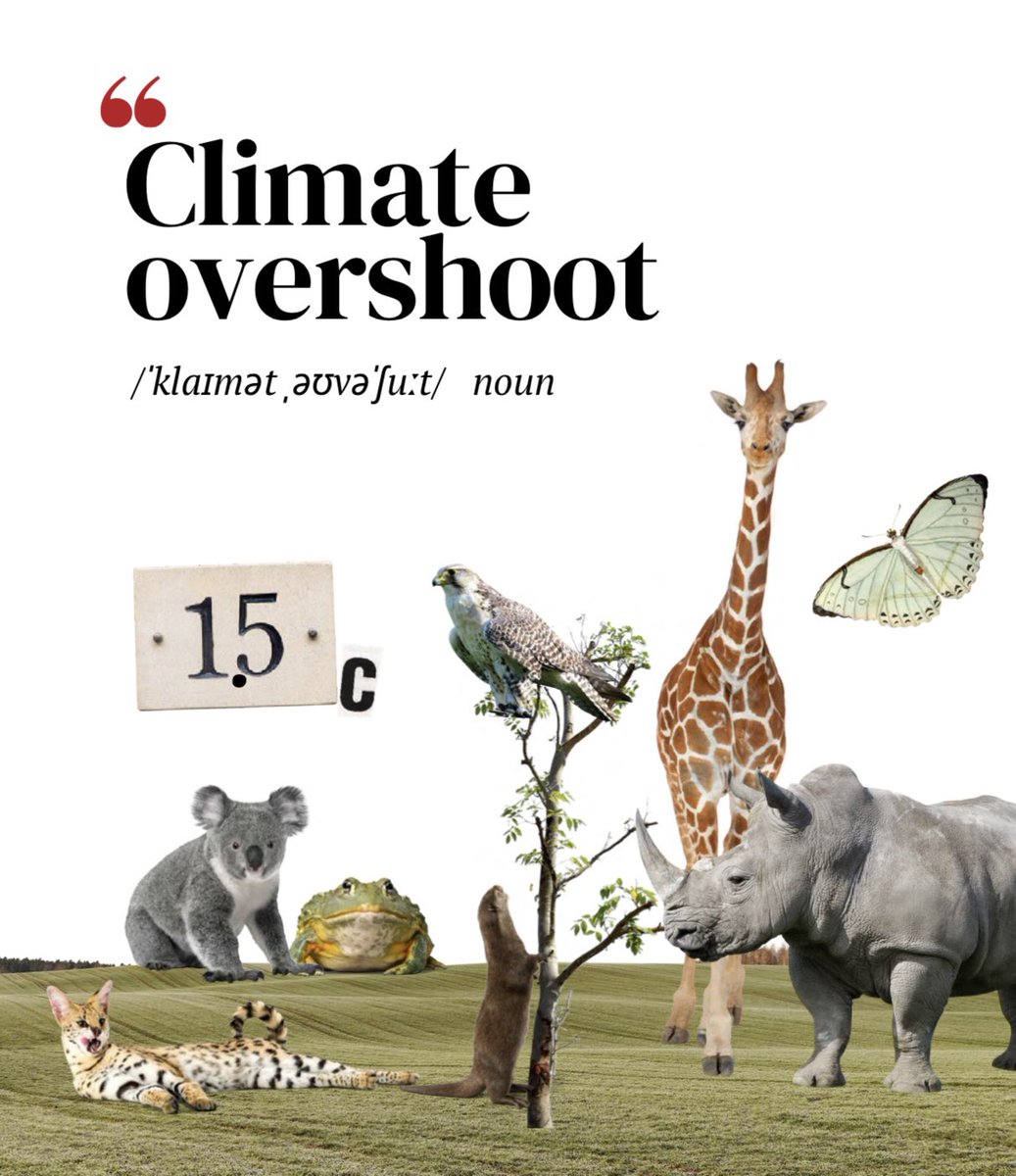 AthensCOP's tweet photo. #ClimateOvershoot: Υπέρβαση των κλιματικών στόχων 

#ΚλιματικοΛεξικο 🧵 #ΑθενσΚΟΠ 

Σύμφωνα με τη Συμφωνία του Παρισιού, οι χώρες αναμένεται να λάβουν τα απαραίτητα μέτρα για την αποφυγή της επικίνδυνης κλιματικής αλλαγής, περιορίζοντας την υπερθέρμανση του πλανήτη σε επίπεδα πολύ κάτω των 2°C και συνεχίζοντας τις προσπάθειες για τον περιορισμό της σε 1,5°C. Όμως, ακόμη και τα καλύτερα σενάρια δείχνουν τώρα μια σημαντική πιθανότητα υπέρβασης αυτών των στόχων, έστω και προσωρινά.

Η υπέρβαση των κλιματικών στόχων αναφέρεται στην περίοδο κατά την οποία η αύξηση της θερμοκρασίας θα έχει υπερβεί τους 1,5°C, πριν μειωθεί και πάλι. Η περίοδος αυτή θα συμβεί πιθανώς γύρω στα μέσα του αιώνα, αλλά εμφανίζονται ανησυχητικές ενδείξεις ότι μπορεί να συμβεί ακόμη νωρίτερα.

Όσο περισσότερο διαρκεί η κλιματική υπέρβαση, τόσο πιο επικίνδυνος θα γίνει ο κόσμος. Μια παρατεταμένη περίοδος υψηλότερων παγκόσμιων θερμοκρασιών θα έχει καταστροφικές και μη αναστρέψιμες επιπτώσεις στα φυσικά οικοσυστήματα, τη βιοποικιλότητα και τις ανθρώπινες κοινότητες, ιδίως σε ξηρές περιοχές, παράκτιες ζώνες και άλλες ευάλωτες τοποθεσίες. Η βαθιά μείωση των εκπομπών κατά τη διάρκεια αυτής της δεκαετίας είναι εξαιρετικά σημαντική για τον περιορισμό της διάρκειας και των επιπτώσεων της κλιματικής υπέρβασης.

*Η ΑΘΕΝΣ ΚΟΠ μεταφράζει το #climatedictionary του @UNDP, για να διευκολύνει κάθε πολίτη στη συμμετοχή στις συζητήσεις για την #COP29 και την παρακολούθηση της εφαρμογής των αποτελεσμάτων της.