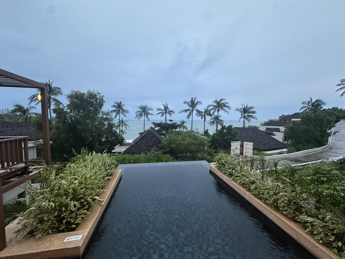 Elizabeth Morris tweet media