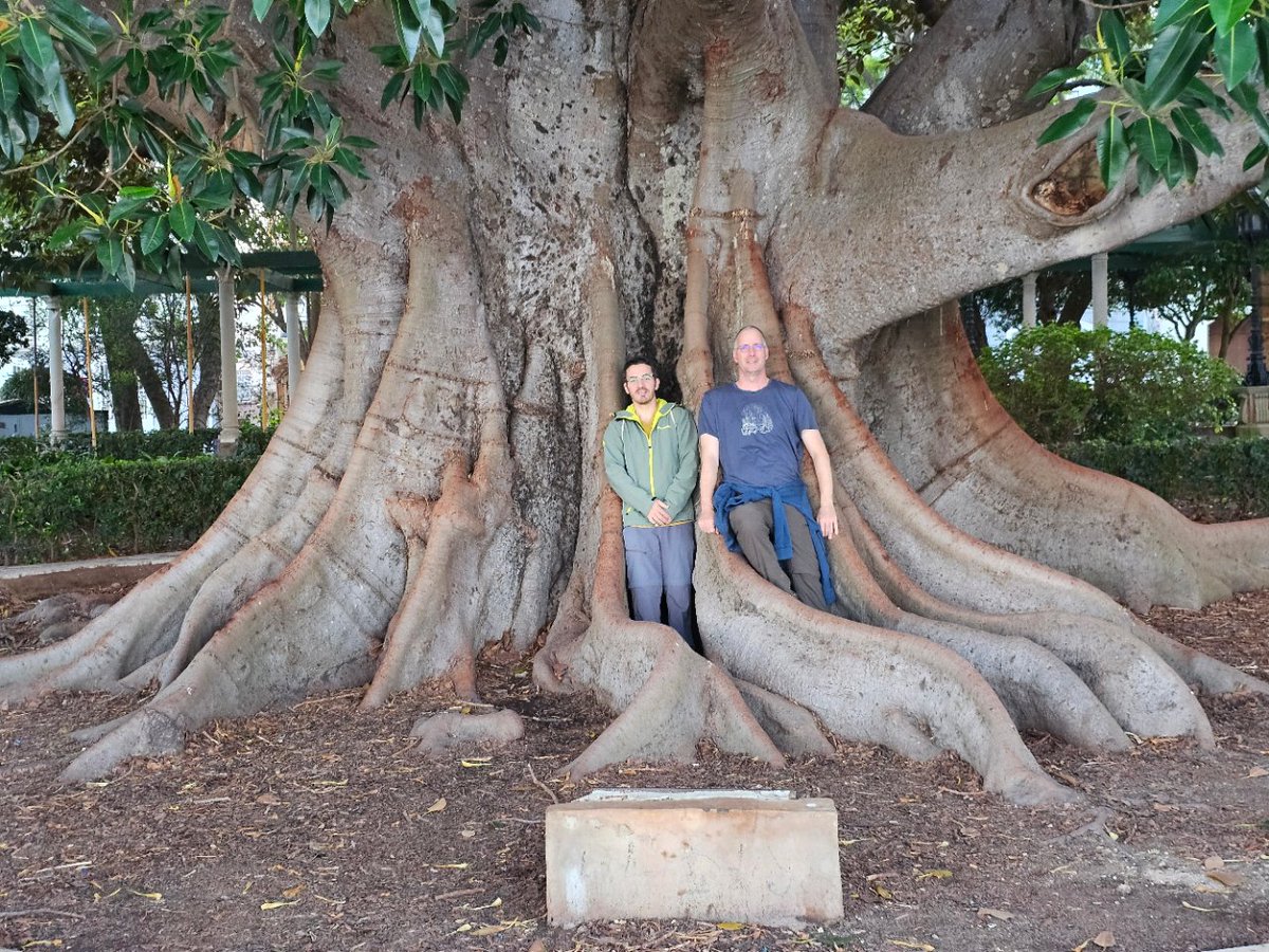 mta-lace.bsky.social tweet media