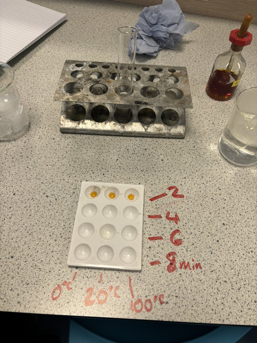 Boclair Academy Biology (@boclairbiology) on Twitter photo Higher pupils demonstrated their knowledge of experiment design by running their own experiment to investigate the effect of temperature on enzymes! π₯Όπ₯Ό <a href="/BoclairAcademy/">Boclair Academy</a> Higher pupils demonstrated their knowledge of experiment design by running their own experiment to investigate the effect of temperature on enzymes! π₯Όπ₯Ό <a href="/BoclairAcademy/">Boclair Academy</a>