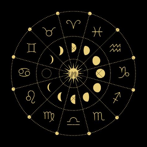 Mehtap Gamze tweet media