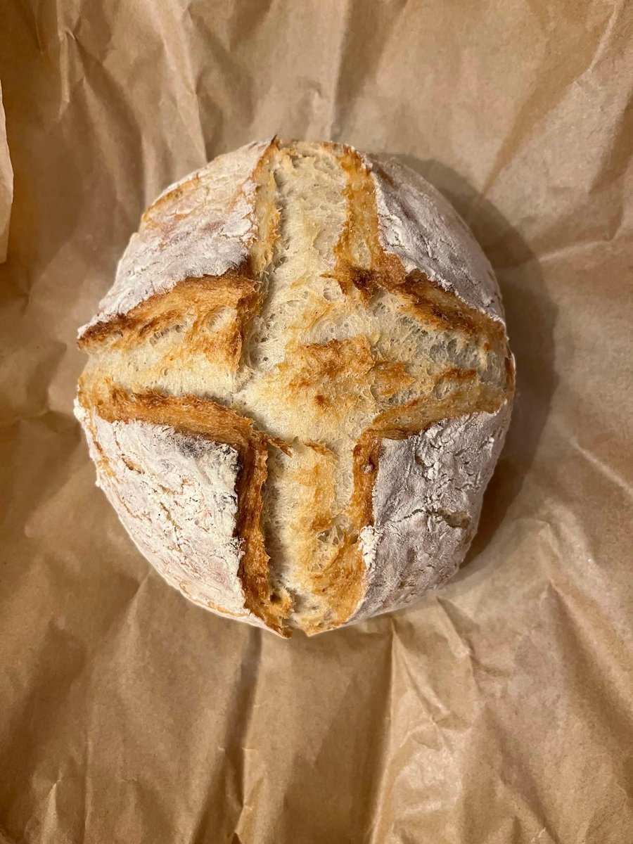 Adelaidesa_fun's tweet photo. My first ever loaf of bread! It was the best bread I've ever tasted. Oh, and good news everyone, stream is nearly set up again for my return! Gonna be after Thanksgiving though. :( 

I hope you all are well, and I can't wait to see you soon! <3 https://t.co/codJZJUW2Y