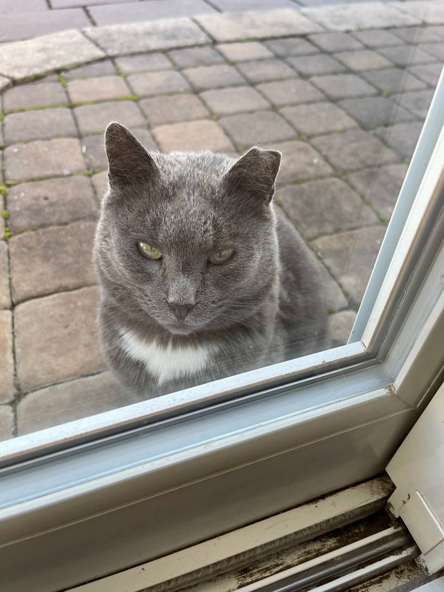 Give a soothing Meme caption to this right here....

Best Caption in the comment section gets a reward in SOL 😊