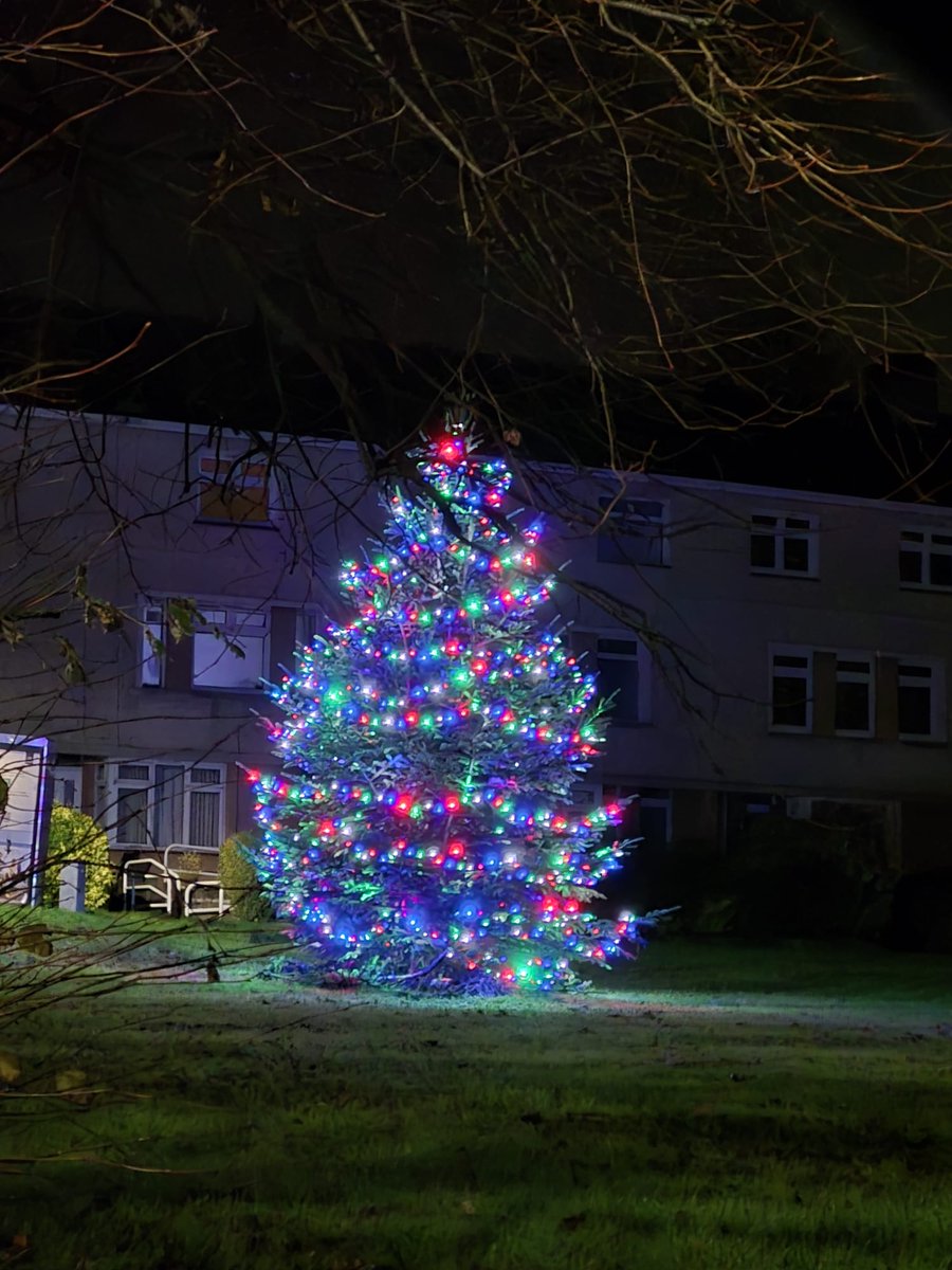 We have been busy adding some festive cheer to Mumbles this past week! You can see these fantastic Christmas Trees at Welcome to Mumbles, The White Rose and Dick Bartons #christmas #mumbles #swansea