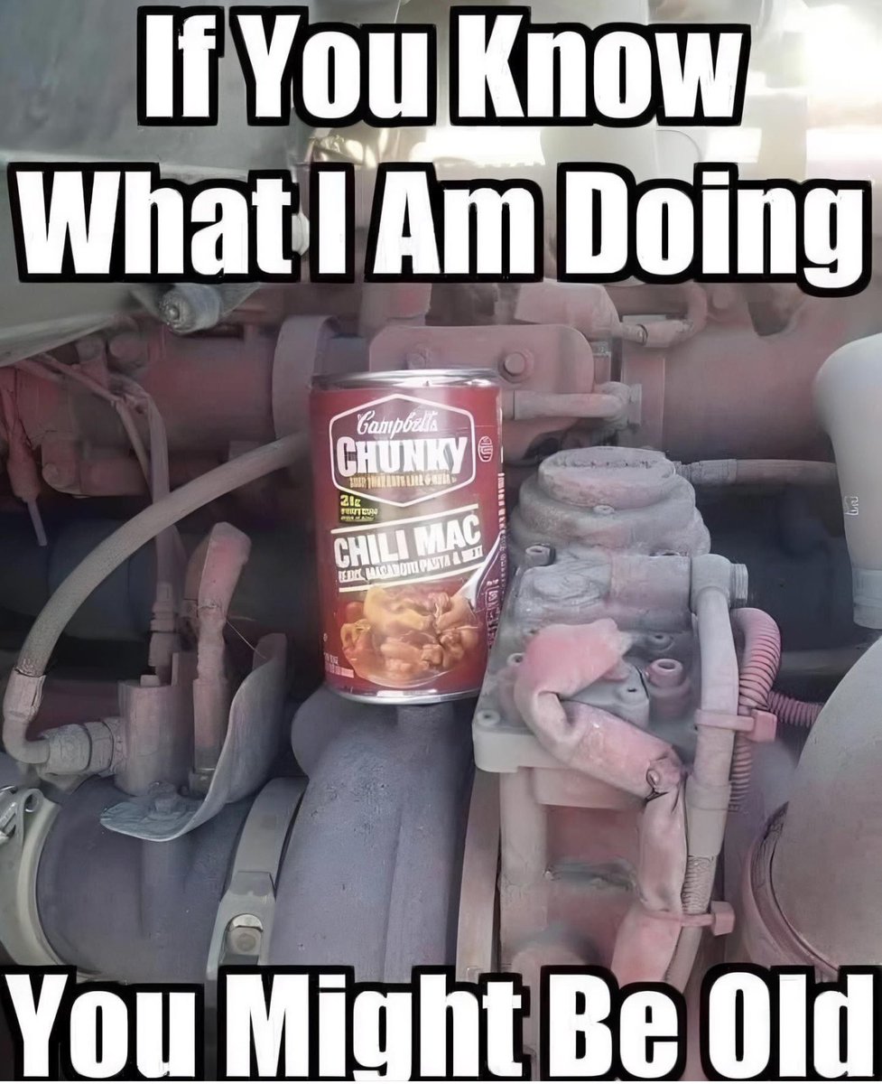 CandyCats357 tweet media