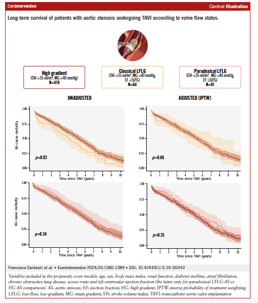While classical low-flow, low-gradient AS patients show poorer survival than high-gradient AS at first glance, adjusting for baseline risk reveals a different story: patient risk profile, not flow status, is key. Careful pre-TAVI planning can enhance outcomes and avoid futile