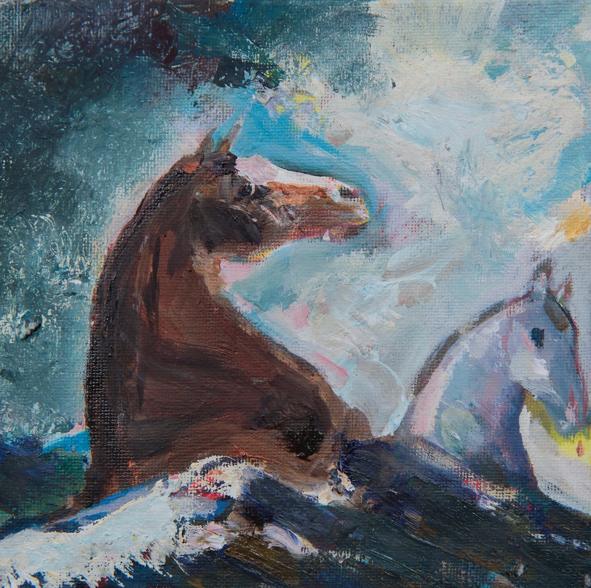 Emin Turan 🐎 Onírico