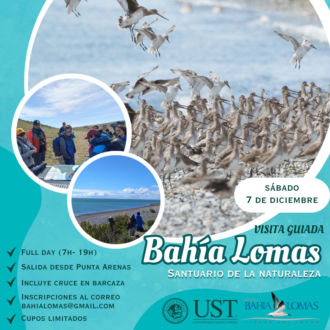 Centro Bahía Lomas de <a href="/SantoTomas_ST/">Santo Tomás</a> te invita a conocer el Santuario de la Naturaleza Bahía Lomas, TdF

📅 Cuándo: Sa 07/12/2024
⏰ Hora: 07:00h a 19:00h aprox
📍 Encuentro: CBL, Ignacio Carrera Pinto #1350, PUQ
Para inscripciones e información escríbenos a bahialomas@gmail.com