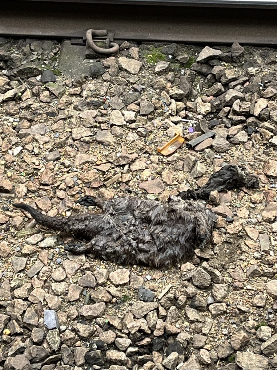 jackbirdbrain tweet picture