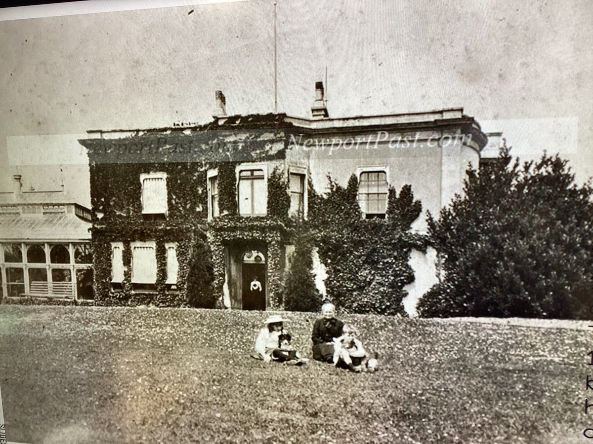 Dosbarth Cedar tweet media